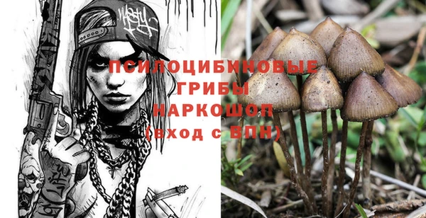 дмт Балахна